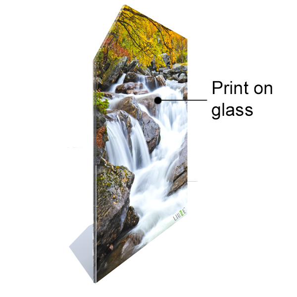 Technical picture door leaf Liune Print glass D14